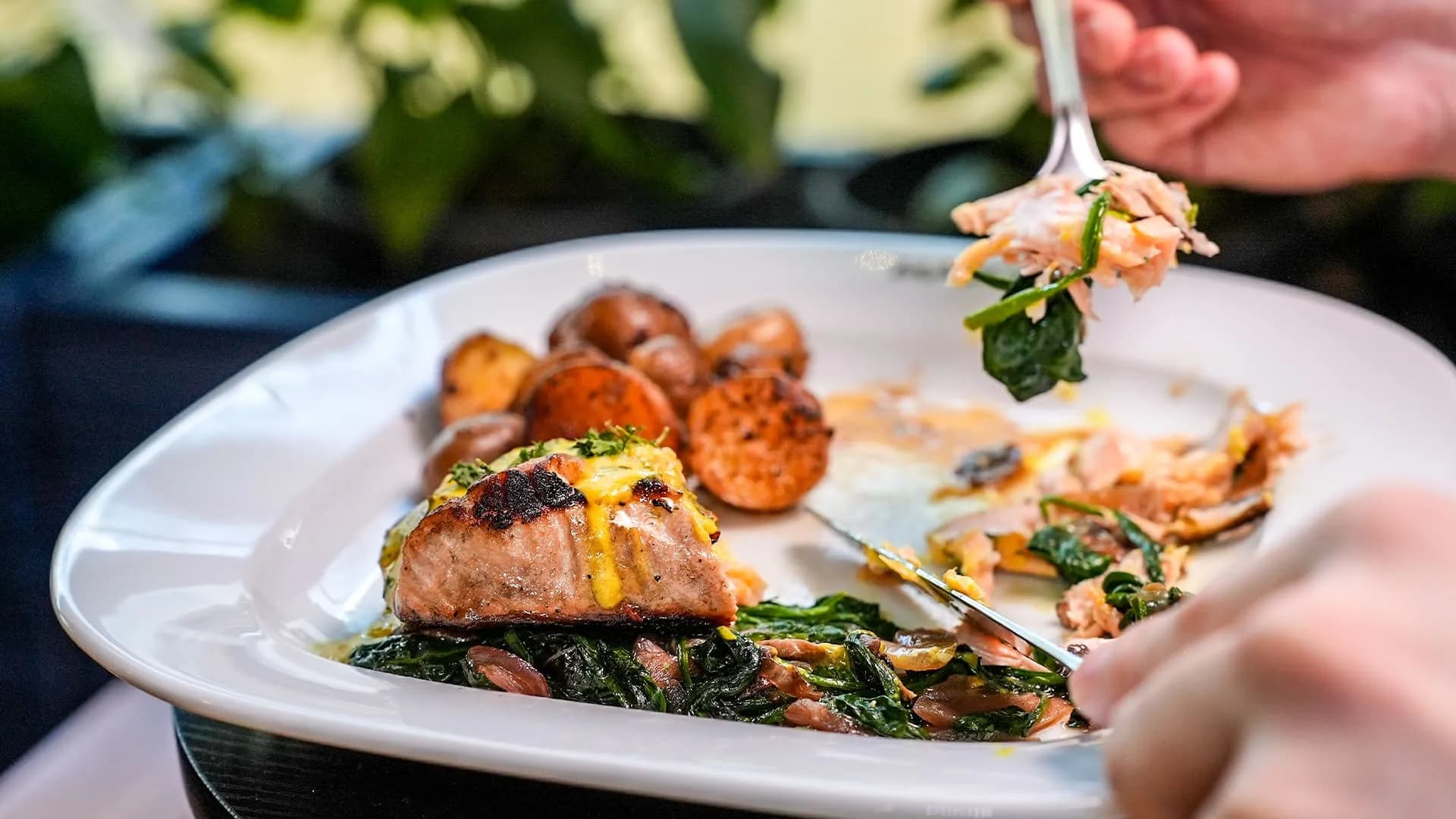 MADO Restaurant in Mississauga: Where Turkish Cuisine Meets Flavourful Delights